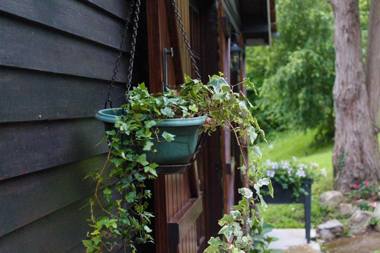 Villa Chalet Des Sept Pins Marles-sur-Canche Exterior foto